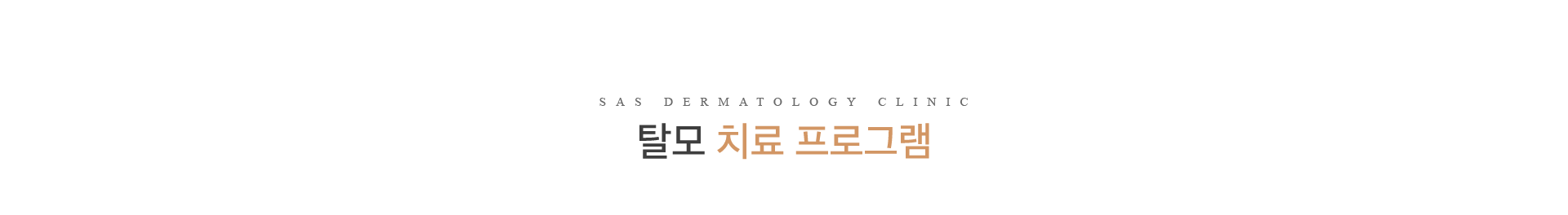 치료프로그램_tit